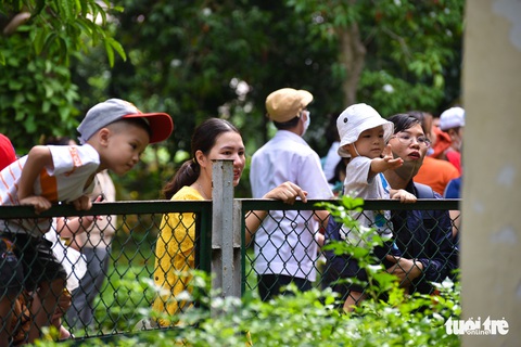 Đông nghịt người xếp hàng chờ mua vé vào Thảo cầm viên Sài Gòn - Ảnh 10. Đông nghịt người xếp hàng chờ mua vé vào Thảo cầm viên Sài Gòn - Ảnh 10.