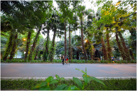Chạy marathon trên cung đường ngập sắc xanh ở đô thị Ecopark - Ảnh 8. Chạy marathon trên cung đường ngập sắc xanh ở đô thị Ecopark - Ảnh 8.