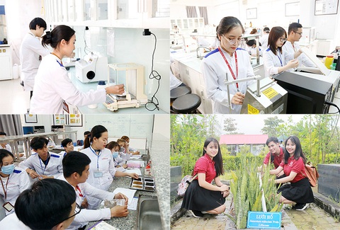 Những lý do chọn học ngành Dược sĩ tại ĐH Duy Tân - Ảnh 2. Những lý do chọn học ngành Dược sĩ tại ĐH Duy Tân - Ảnh 2.