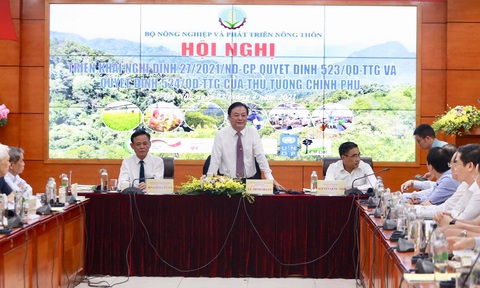 Bài học thất bại của cây phong lá đỏ trên đường phố Hà Nội vẫn còn đó - Ảnh 1. Bài học thất bại của cây phong lá đỏ trên đường phố Hà Nội vẫn còn đó - Ảnh 1.