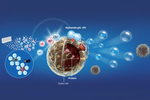 Plasmacluster Ion - Bộ sản phẩm diệt khuẩn công nghệ Nhật Bản - Ảnh 4. Plasmacluster Ion - Bộ sản phẩm diệt khuẩn công nghệ Nhật Bản - Ảnh 4.