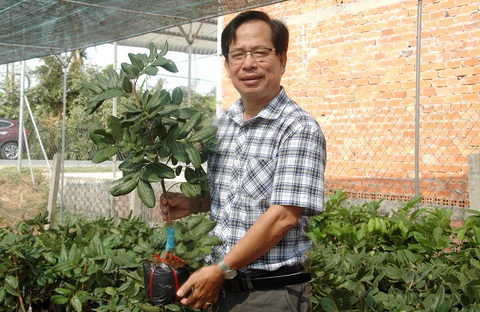 Tiến sĩ nông học rời trường, về quê giúp dân ghép cây, chuyển giới cho hoa - Ảnh 1. Tiến sĩ nông học rời trường, về quê giúp dân ghép cây, chuyển giới cho hoa - Ảnh 1.