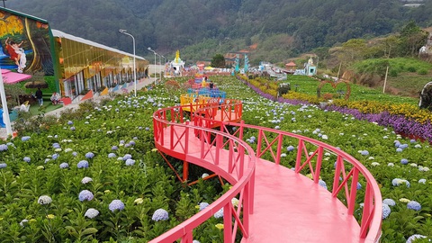 Lâm Đồng cấm kinh doanh lưu trú tại điểm du lịch canh nông - Ảnh 1. Lâm Đồng cấm kinh doanh lưu trú tại điểm du lịch canh nông - Ảnh 1.