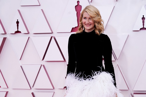 Thảm đỏ Oscar 2021 vẫn hào nhoáng mặc COVID-19 - Ảnh 5. Thảm đỏ Oscar 2021 vẫn hào nhoáng mặc COVID-19 - Ảnh 5.