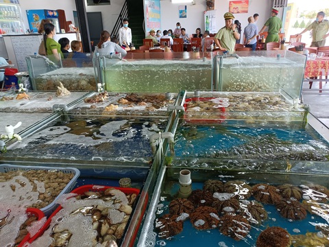 Nhà hàng bán ốc hương 1,8 triệu đồng/kg bị yêu cầu đóng cửa tạm thời - Ảnh 5. Nhà hàng bán ốc hương 1,8 triệu đồng/kg bị yêu cầu đóng cửa tạm thời - Ảnh 5.