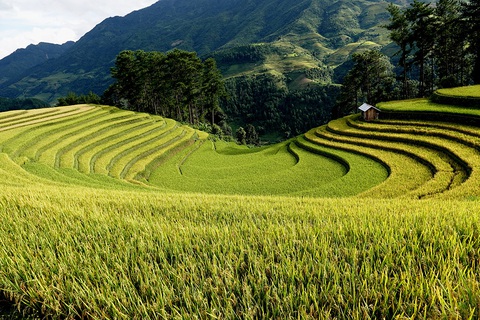 Mù Cang Chải: Hứa hẹn một Thiên đường du lịch Tây Bắc - Ảnh 4. Mù Cang Chải: Hứa hẹn một Thiên đường du lịch Tây Bắc - Ảnh 4.