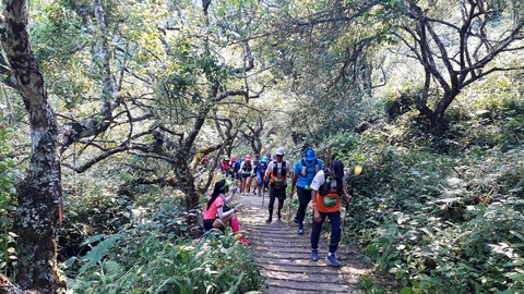 Cho con 9 tuổi đi theo chạy 42km trên núi Mộc Châu, một VĐV bị cộng đồng phản ứng - Ảnh 1. Cho con 9 tuổi đi theo chạy 42km trên núi Mộc Châu, một VĐV bị cộng đồng phản ứng - Ảnh 1.