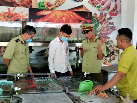 Phạt hơn 13 triệu đồng nhà hàng bán 1,8 triệu/kg ốc hương - Ảnh 1. Phạt hơn 13 triệu đồng nhà hàng bán 1,8 triệu/kg ốc hương - Ảnh 1.