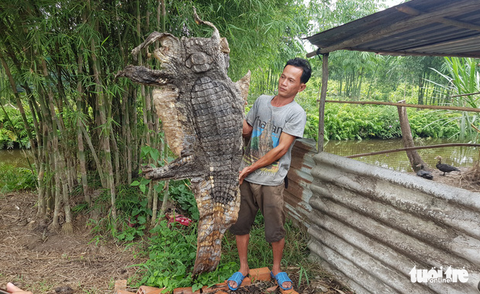Phát hiện cá sấu 70kg trong vườn nhà, người đàn ông bắt lột da xẻ thịt - Ảnh 2. Phát hiện cá sấu 70kg trong vườn nhà, người đàn ông bắt lột da xẻ thịt - Ảnh 2.
