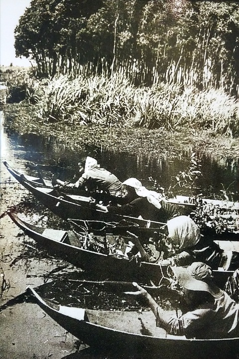 Chiến dịch Hồ Chí Minh và những phụ nữ cỏ lau thép - Ảnh 6. Chiến dịch Hồ Chí Minh và những phụ nữ cỏ lau thép - Ảnh 6.