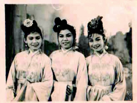 Cải lương Nam Bộ: một thời ra Bắc vào Nam - Ảnh 7. Cải lương Nam Bộ: một thời ra Bắc vào Nam - Ảnh 7.