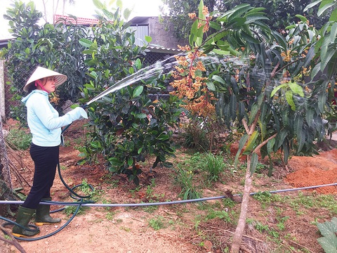 Hơn 20 năm hồi sinh Phường Cội - Ảnh 3. Hơn 20 năm hồi sinh Phường Cội - Ảnh 3.