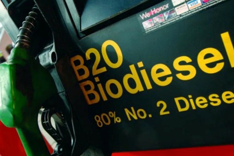 Indonesia là nhà sản xuất dầu diesel sinh học lớn nhất thế giới - Ảnh 1. Indonesia là nhà sản xuất dầu diesel sinh học lớn nhất thế giới - Ảnh 1.