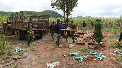 Khởi tố 37 người tham gia phá rừng giáp ranh Đắk Lắk - Phú Yên - Ảnh 4. Khởi tố 37 người tham gia phá rừng giáp ranh Đắk Lắk - Phú Yên - Ảnh 4.