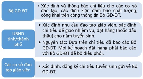 Đào tạo giáo viên đáp ứng cung cầu thị trường: Vẫn vướng ở định biên - Ảnh 4. Đào tạo giáo viên đáp ứng cung cầu thị trường: Vẫn vướng ở định biên - Ảnh 4.