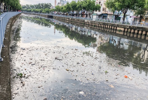 Vớt hàng chục ghe cá chết trên kênh Nhiêu Lộc - Thị Nghè - Ảnh 8. Vớt hàng chục ghe cá chết trên kênh Nhiêu Lộc - Thị Nghè - Ảnh 8.