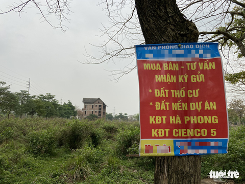 Biệt thự bỏ hoang cũng dậy sóng trong cơn sốt đất ảo - Ảnh 3. Biệt thự bỏ hoang cũng dậy sóng trong cơn sốt đất ảo - Ảnh 3.