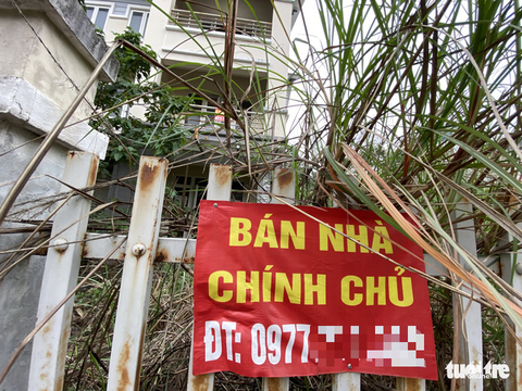 Biệt thự bỏ hoang cũng dậy sóng trong cơn sốt đất ảo - Ảnh 7. Biệt thự bỏ hoang cũng dậy sóng trong cơn sốt đất ảo - Ảnh 7.