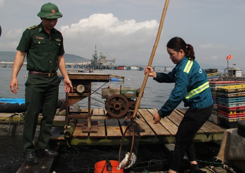 Vụ cá chết ở ven biển Thanh Hóa: Không bán cá chết ra thị trường, giữ cá nuôi lồng - Ảnh 1. Vụ cá chết ở ven biển Thanh Hóa: Không bán cá chết ra thị trường, giữ cá nuôi lồng - Ảnh 1.