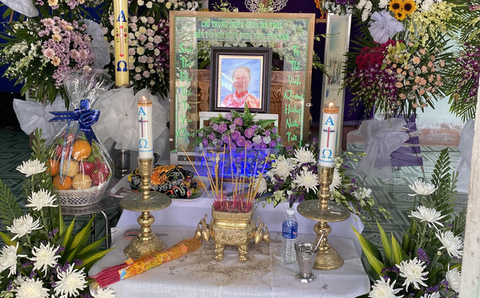 Sau vụ cây phượng đè chết nữ điều dưỡng, cho rà soát toàn bộ cây xanh - Ảnh 2. Sau vụ cây phượng đè chết nữ điều dưỡng, cho rà soát toàn bộ cây xanh - Ảnh 2.