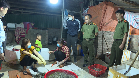 Bắt quả tang cơ sở bơm tạp chất hàng tấn tôm cho các nhà hàng Hà Nội mỗi tháng - Ảnh 1. Bắt quả tang cơ sở bơm tạp chất hàng tấn tôm cho các nhà hàng Hà Nội mỗi tháng - Ảnh 1.