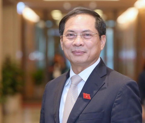 Trình Quốc hội miễn nhiệm Phó thủ tướng Trịnh Đình Dũng và một số bộ trưởng - Ảnh 3. Trình Quốc hội miễn nhiệm Phó thủ tướng Trịnh Đình Dũng và một số bộ trưởng - Ảnh 3.