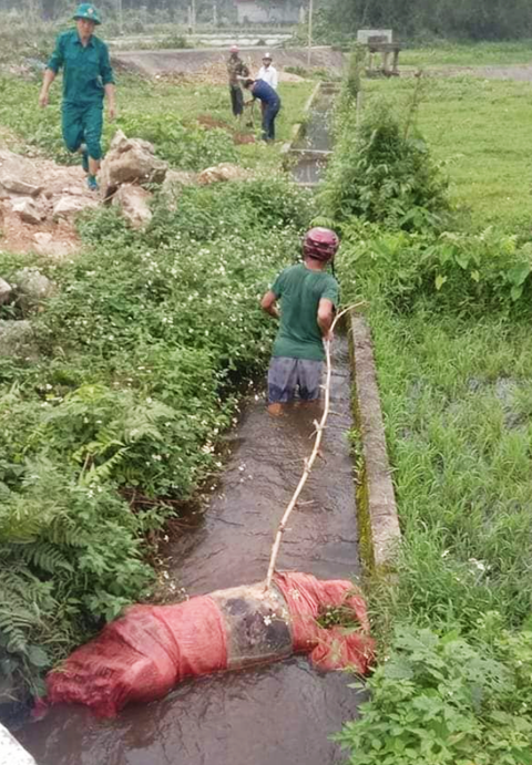 Vô tư vứt xác heo hàng tạ xuống sông - Ảnh 3. Vô tư vứt xác heo hàng tạ xuống sông - Ảnh 3.