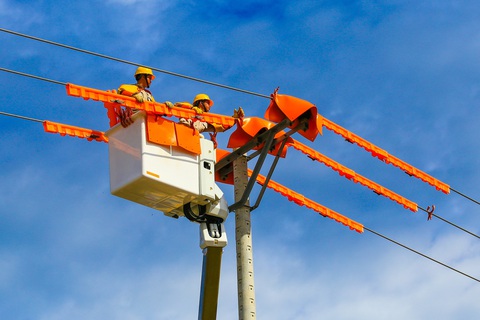 Tin sáng 19-7: Phát hoảng vì cuộc gọi rác tăng gấp rưỡi; Khi nào sốt đất dừng lại? - Ảnh 2. Tin sáng 19-7: Phát hoảng vì cuộc gọi rác tăng gấp rưỡi; Khi nào sốt đất dừng lại? - Ảnh 2.