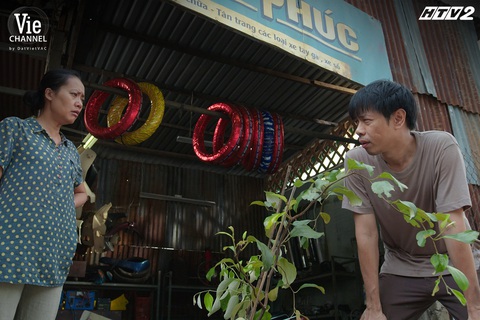 Lúc cười, lúc lại rớt nước mắt khi xem Cây táo nở hoa - Ảnh 1. Lúc cười, lúc lại rớt nước mắt khi xem Cây táo nở hoa - Ảnh 1.