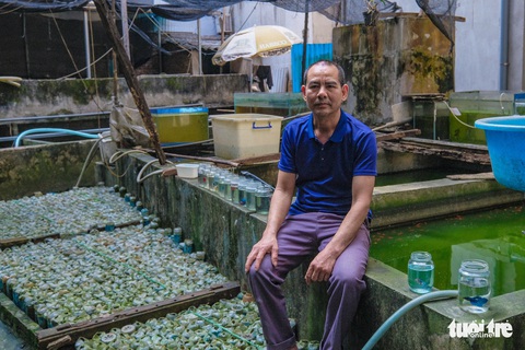 Nuôi cá chọi trong hàng ngàn vỏ chai phế liệu - Ảnh 1. Nuôi cá chọi trong hàng ngàn vỏ chai phế liệu - Ảnh 1.