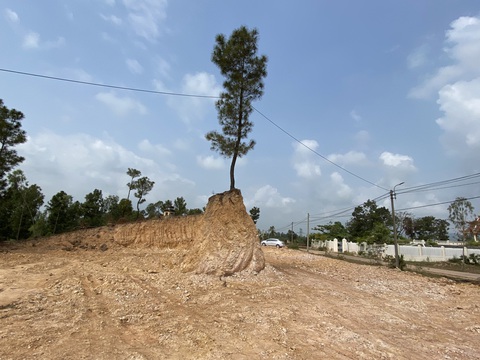 Chính quyền xã tự ý xẻ thịt đồi thông phòng hộ lấy đất trái phép - Ảnh 2. Chính quyền xã tự ý xẻ thịt đồi thông phòng hộ lấy đất trái phép - Ảnh 2.