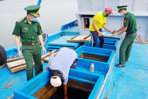 Bắt tàu chở 80.000 lít dầu ở vùng biển Côn Đảo - Ảnh 1. Bắt tàu chở 80.000 lít dầu ở vùng biển Côn Đảo - Ảnh 1.