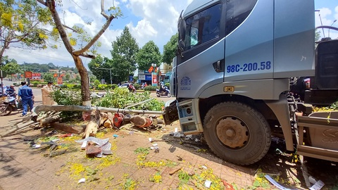 Xe đầu kéo lao lên lề tông một loạt trụ cứu hỏa, cây xanh, xe máy - Ảnh 2. Xe đầu kéo lao lên lề tông một loạt trụ cứu hỏa, cây xanh, xe máy - Ảnh 2.