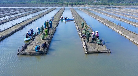Tuyệt cảnh bàu Cá Cái bị đào bới, phá rừng nuôi trồng thủy sản - Ảnh 3. Tuyệt cảnh bàu Cá Cái bị đào bới, phá rừng nuôi trồng thủy sản - Ảnh 3.