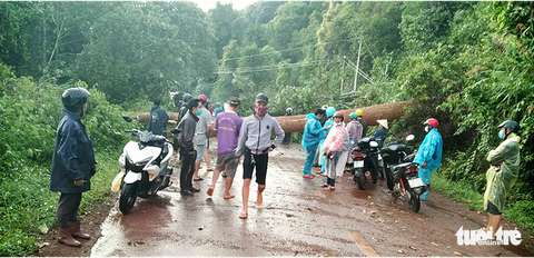 Cây đổ ngang đường Đắk Nông - Lâm Đồng đè chết người đi xe máy - Ảnh 1. Cây đổ ngang đường Đắk Nông - Lâm Đồng đè chết người đi xe máy - Ảnh 1.