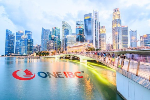 One IBC: Quy trình thành lập công ty tại Singapore nhanh chóng, hiệu quả - Ảnh 2. One IBC: Quy trình thành lập công ty tại Singapore nhanh chóng, hiệu quả - Ảnh 2.