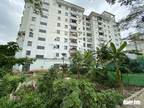 Chung cư tái định cư Hà Nội xây xong bỏ hoang nhiều năm - Ảnh 9. Chung cư tái định cư Hà Nội xây xong bỏ hoang nhiều năm - Ảnh 9.