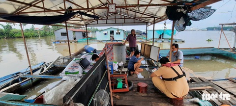Sà lan chở 27 container đâm chìm bè cá trắm cỏ chuẩn bị thu hoạch - Ảnh 5. Sà lan chở 27 container đâm chìm bè cá trắm cỏ chuẩn bị thu hoạch - Ảnh 5.