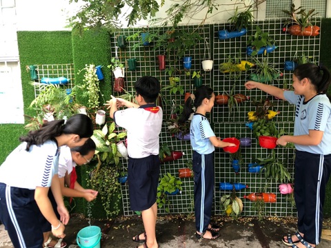 Vườn rau xanh mướt của học sinh tiểu học, phụ huynh nhìn thấy mua ngay - Ảnh 2. Vườn rau xanh mướt của học sinh tiểu học, phụ huynh nhìn thấy mua ngay - Ảnh 2.