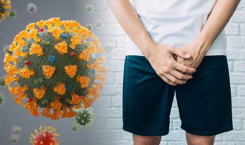 COVID-19 có thể gây rối loạn cương dương? - Ảnh 1. COVID-19 có thể gây rối loạn cương dương? - Ảnh 1.