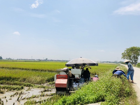 Đến nơi mới hôm nào sốt đất điên đảo, nay ‘lặng như tờ’ - Ảnh 2. Đến nơi mới hôm nào sốt đất điên đảo, nay ‘lặng như tờ’ - Ảnh 2.