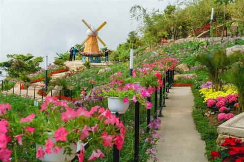 Lý giải sức bật mạnh mẽ của du lịch Tây Ninh - Ảnh 4. Lý giải sức bật mạnh mẽ của du lịch Tây Ninh - Ảnh 4.