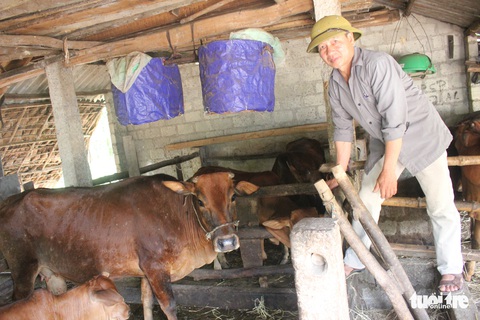 Chợ Hà Tĩnh vắng bóng thịt bò - Ảnh 2. Chợ Hà Tĩnh vắng bóng thịt bò - Ảnh 2.