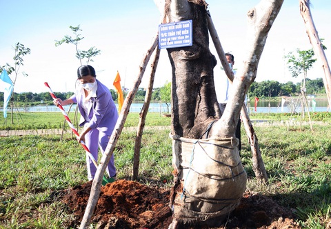 Bình Phước: 100% dịch vụ công trực tuyến mức độ 4 kết nối với Cổng dịch vụ công quốc gia - Ảnh 5. Bình Phước: 100% dịch vụ công trực tuyến mức độ 4 kết nối với Cổng dịch vụ công quốc gia - Ảnh 5.