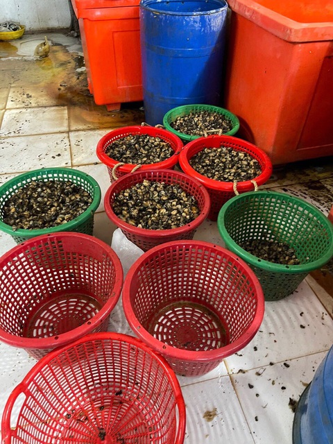 Một cơ sở ở quận 8 ngâm hóa chất hàng tấn thịt ốc bươu để nở, bóng khi bán - Ảnh 4. Một cơ sở ở quận 8 ngâm hóa chất hàng tấn thịt ốc bươu để nở, bóng khi bán - Ảnh 4.