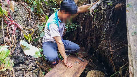 Chảy máu rừng đặc dụng Cham Chu: Tàn sát cổ thụ để lấy nu gỗ - Ảnh 6. Chảy máu rừng đặc dụng Cham Chu: Tàn sát cổ thụ để lấy nu gỗ - Ảnh 6.