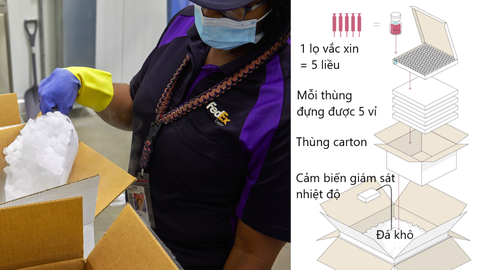31 triệu liều vắc xin Pfizer Việt Nam mua sẽ bảo quản thế nào? - Ảnh 4. 31 triệu liều vắc xin Pfizer Việt Nam mua sẽ bảo quản thế nào? - Ảnh 4.