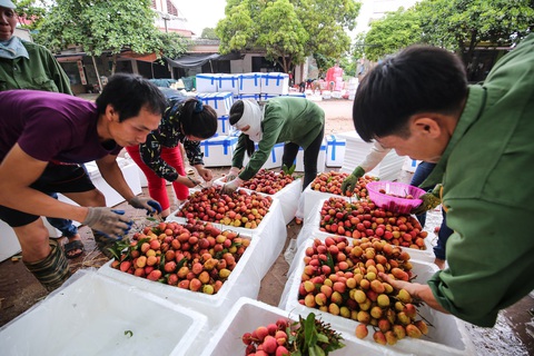 Chủ tịch Bắc Giang đề nghị chống ách tắc nông sản - Ảnh 1. Chủ tịch Bắc Giang đề nghị chống ách tắc nông sản - Ảnh 1.