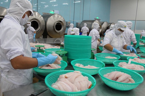 Cục Thú y bị tố gây khó doanh nghiệp - Ảnh 1. Cục Thú y bị tố gây khó doanh nghiệp - Ảnh 1.