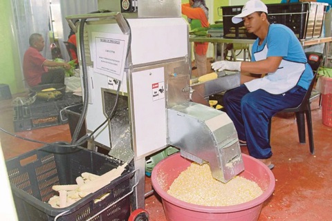 Gần 40% doanh nghiệp vừa và nhỏ Malaysia sẽ phá sản nếu phong tỏa toàn diện - Ảnh 1. Gần 40% doanh nghiệp vừa và nhỏ Malaysia sẽ phá sản nếu phong tỏa toàn diện - Ảnh 1.